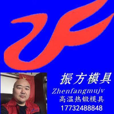 Renqiu Zhenfang  Cemented Carbide Mold Co.,Ltd.